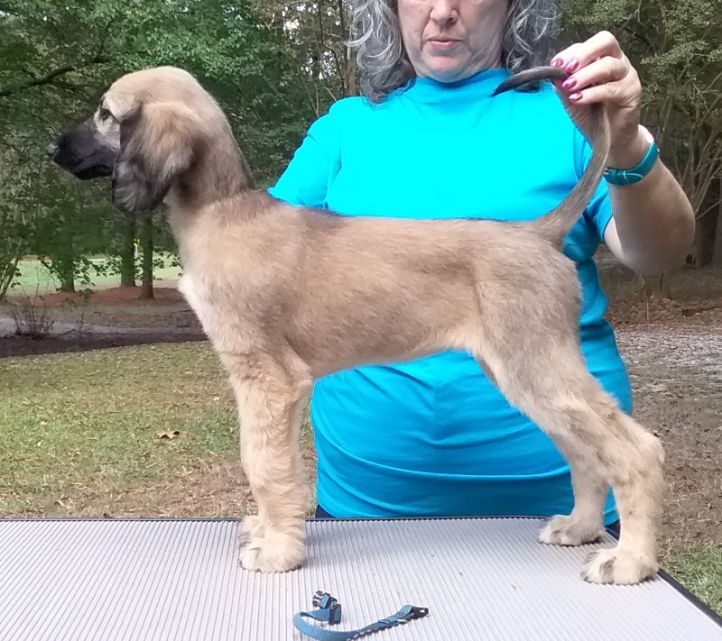 Blue Girl 9 Weeks.jpg - 1666 K